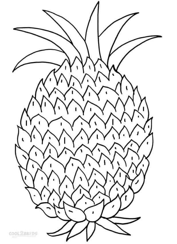 Ananas (1) ausmalbilder