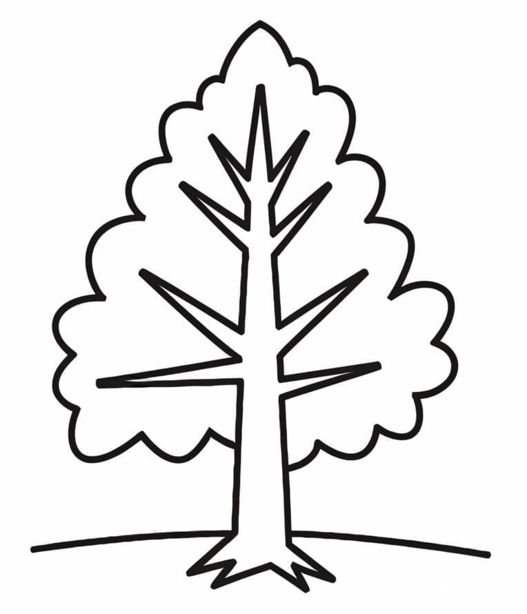 Baum ausdrucken ausmalbilder