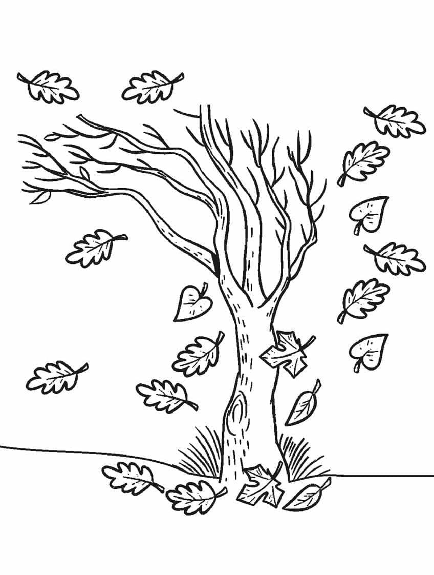 Baumbild gratis ausmalbilder