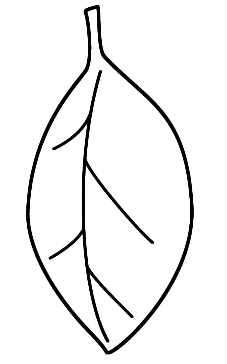 Blatt gratis ausmalbilder