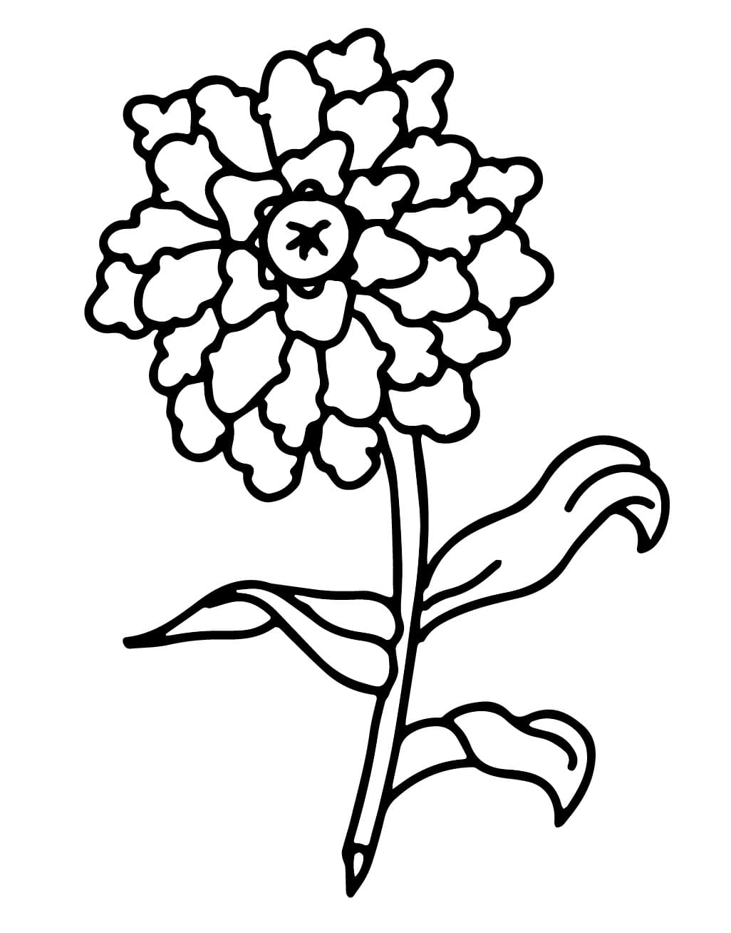 Blume 2 ausmalbilder