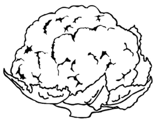 Blumenkohl Gemüse ausmalbilder