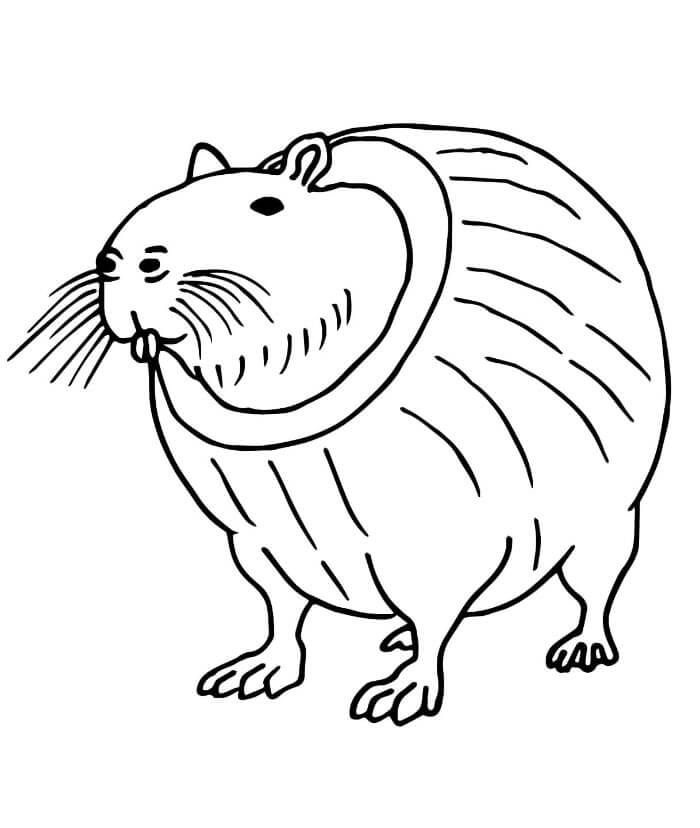 Burbaloni Lulilolli Brainrot ausmalbilder