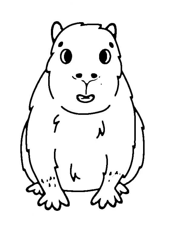 Capybara Für Kinder ausmalbilder