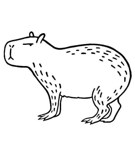 Capybara Gratis ausmalbilder