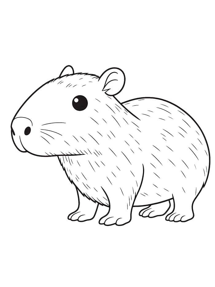Capybara Kostenlos Für Kinder ausmalbilder