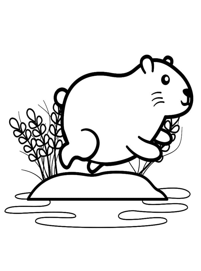 Capybara Kostenlos ausmalbilder