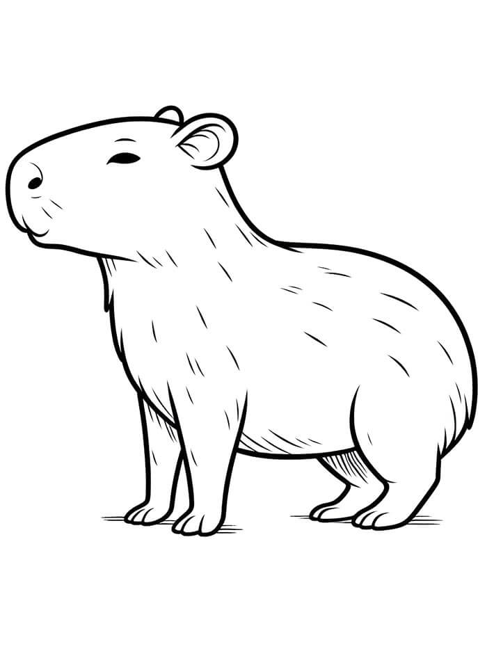 Capybara Kostenloses Bild ausmalbilder