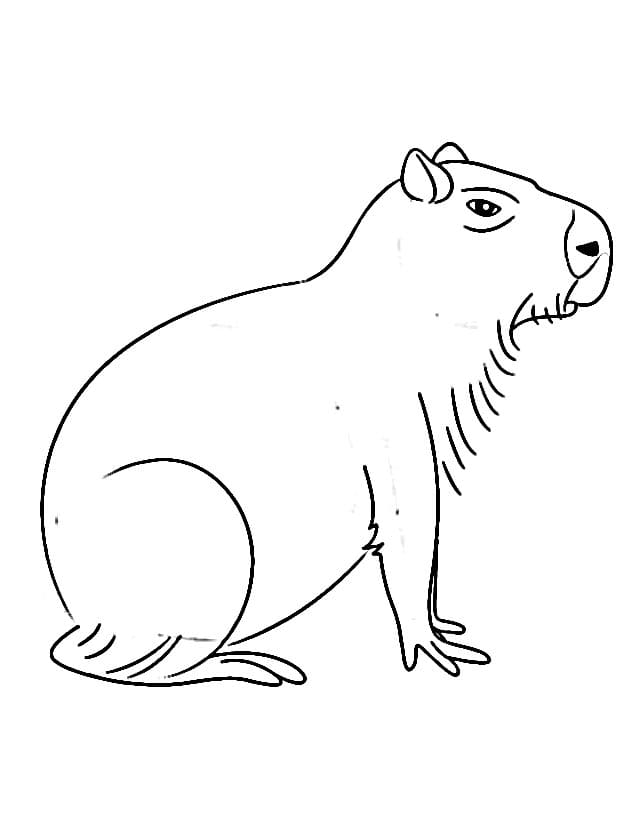 Capybara in der Wildnis ausmalbilder