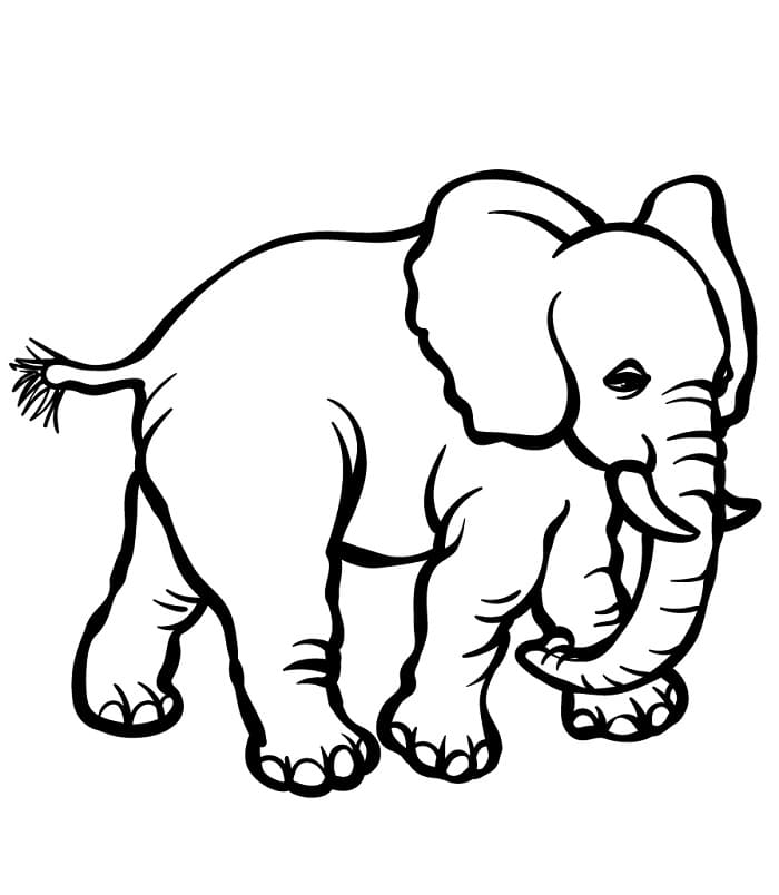 Cartoon Elefant ausmalbilder