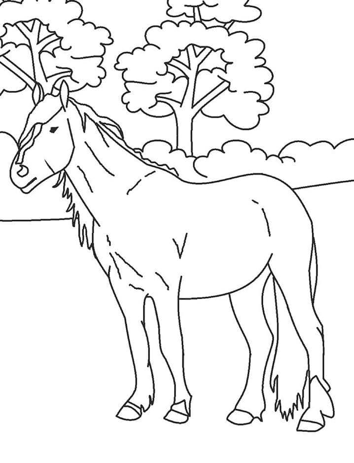 Cartoon Pferd ausmalbilder