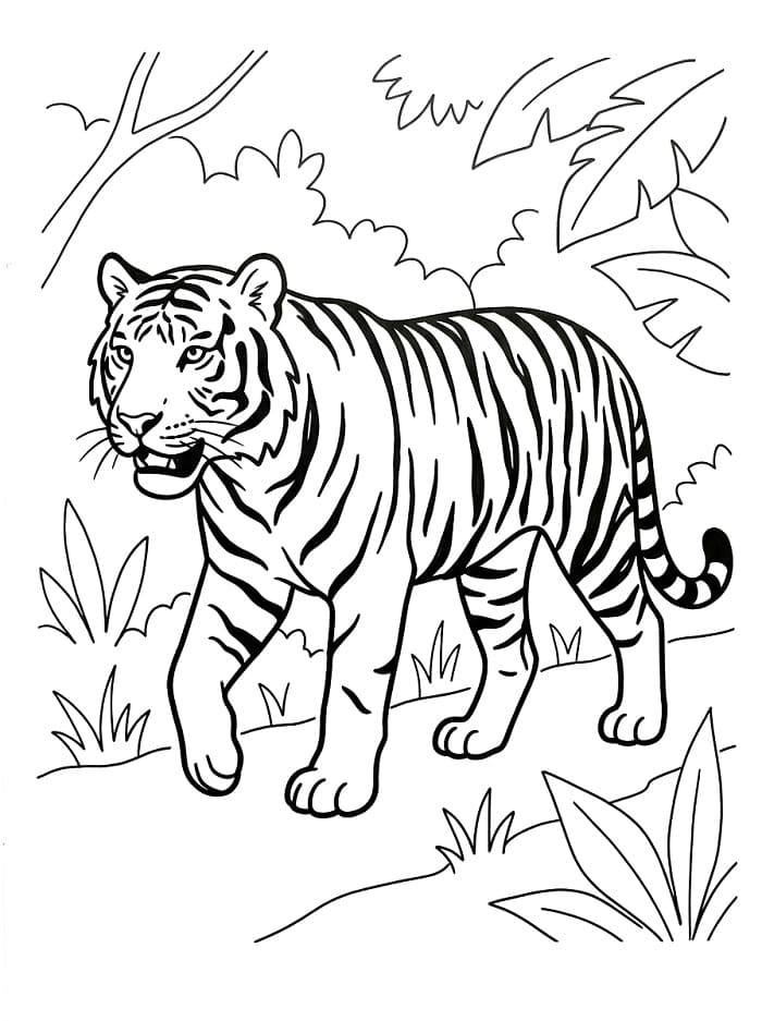 Cartoon Tiger ausmalbilder