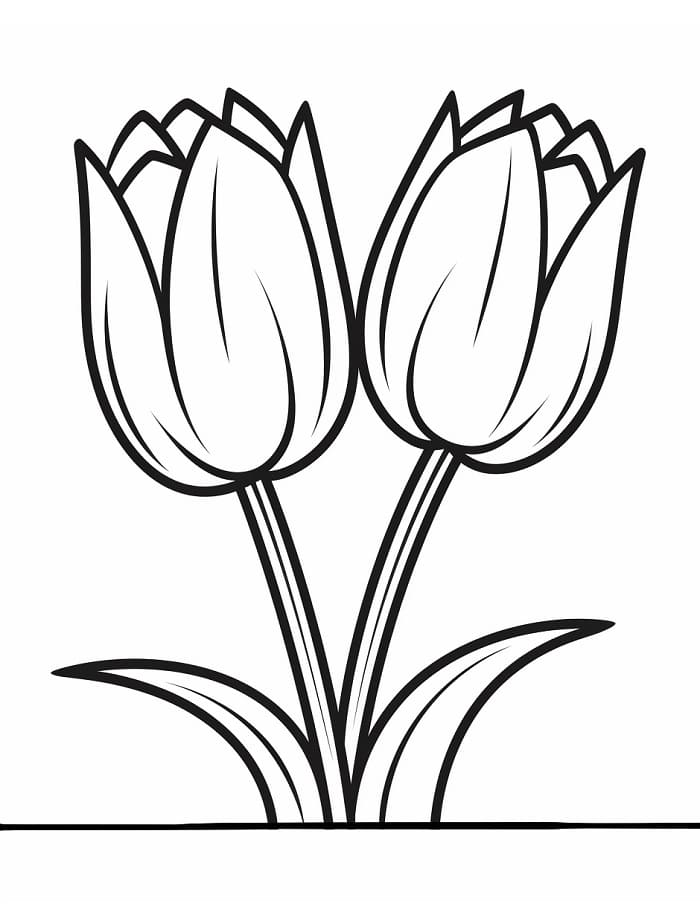 Coole Tulpe ausmalbilder