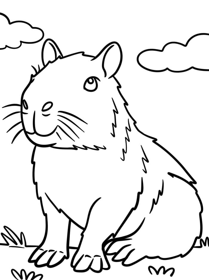 Cooles Capybara ausmalbilder