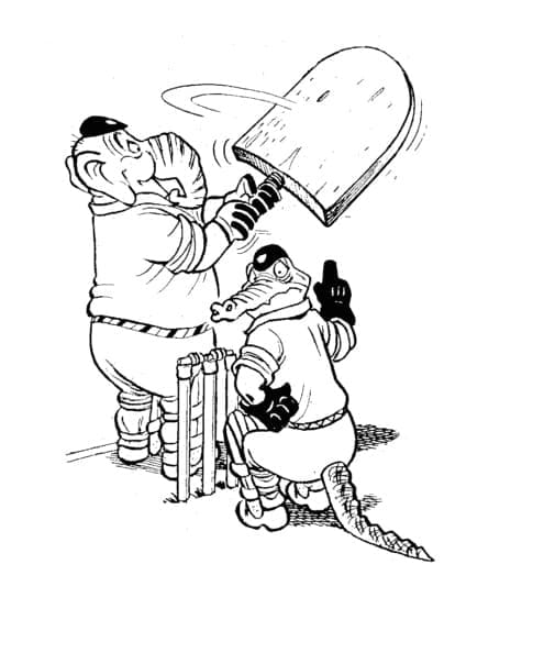 Cricket Bild Frei ausmalbilder