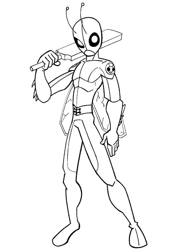 Cricket Für Kinder ausmalbilder