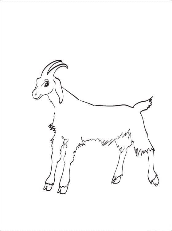 Druckbar Ziege Für Kinder ausmalbilder
