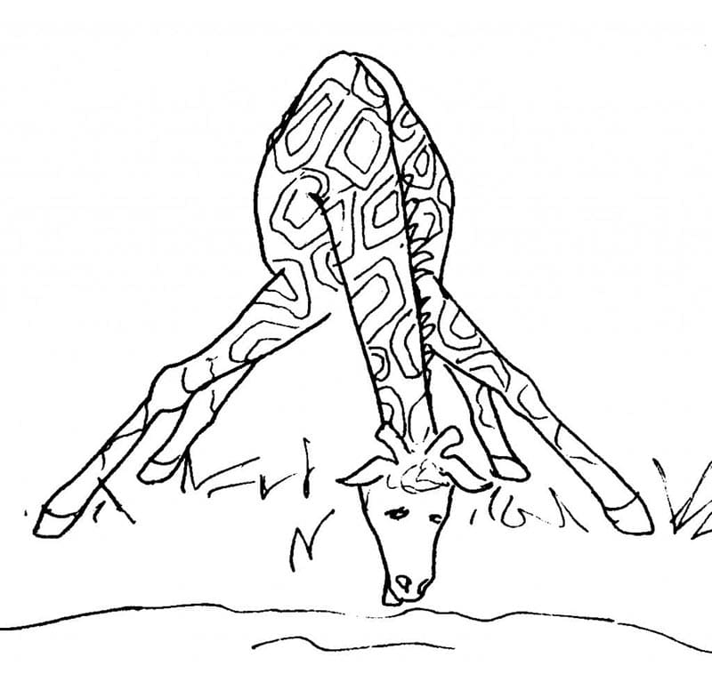 Druckbare Giraffe ausmalbilder