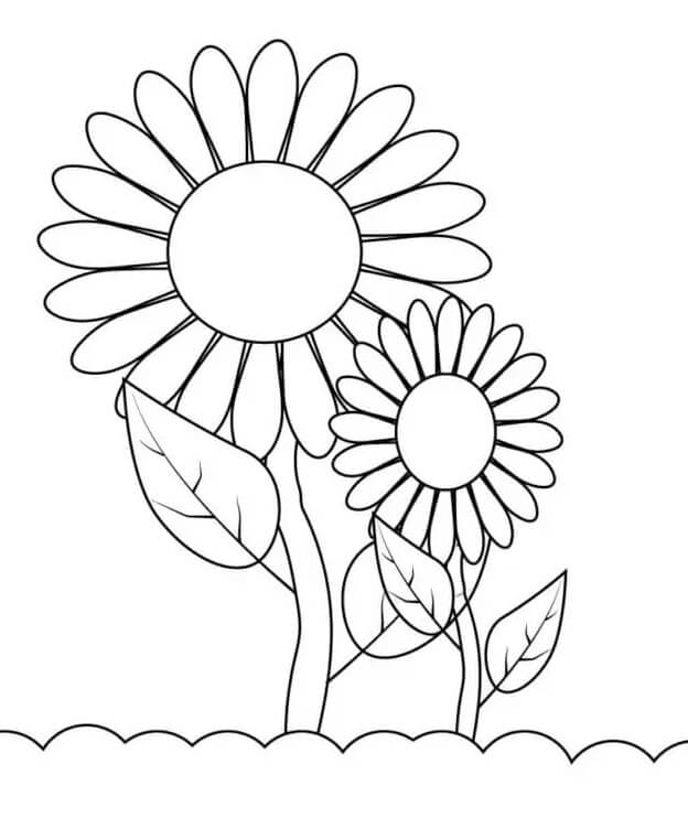 Druckbare Gratis Sonnenblume ausmalbilder