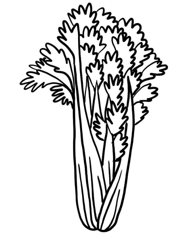 Druckbare Kinder-Version Gemüse ausmalbilder