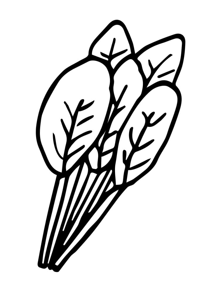 Druckbare Kinder-Version Spinats ausmalbilder