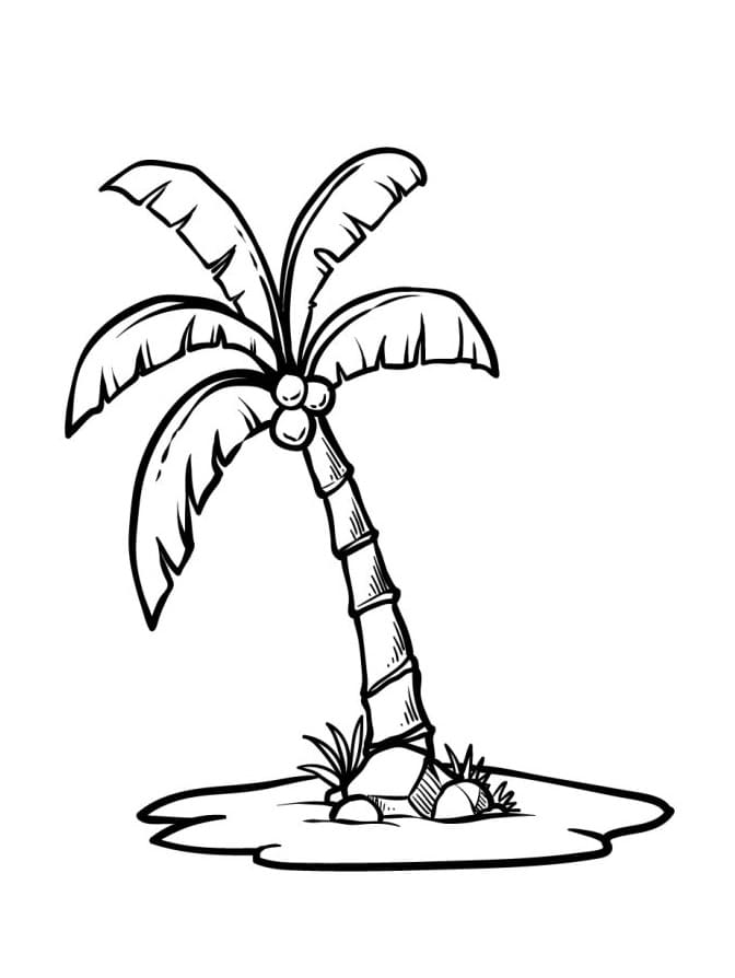 Druckbare Palme ausmalbilder