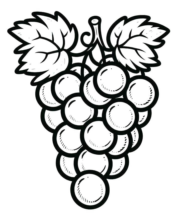 Druckbare Trauben Vorlage ausmalbilder