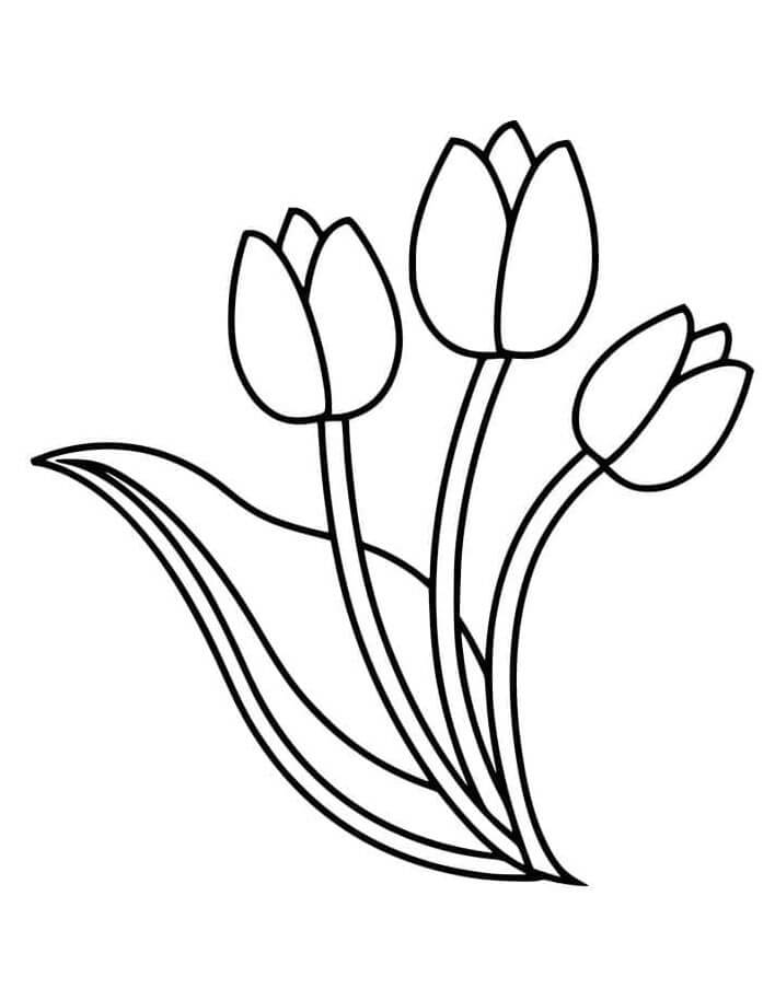 Druckbare Tulpe kostenlos ausmalbilder