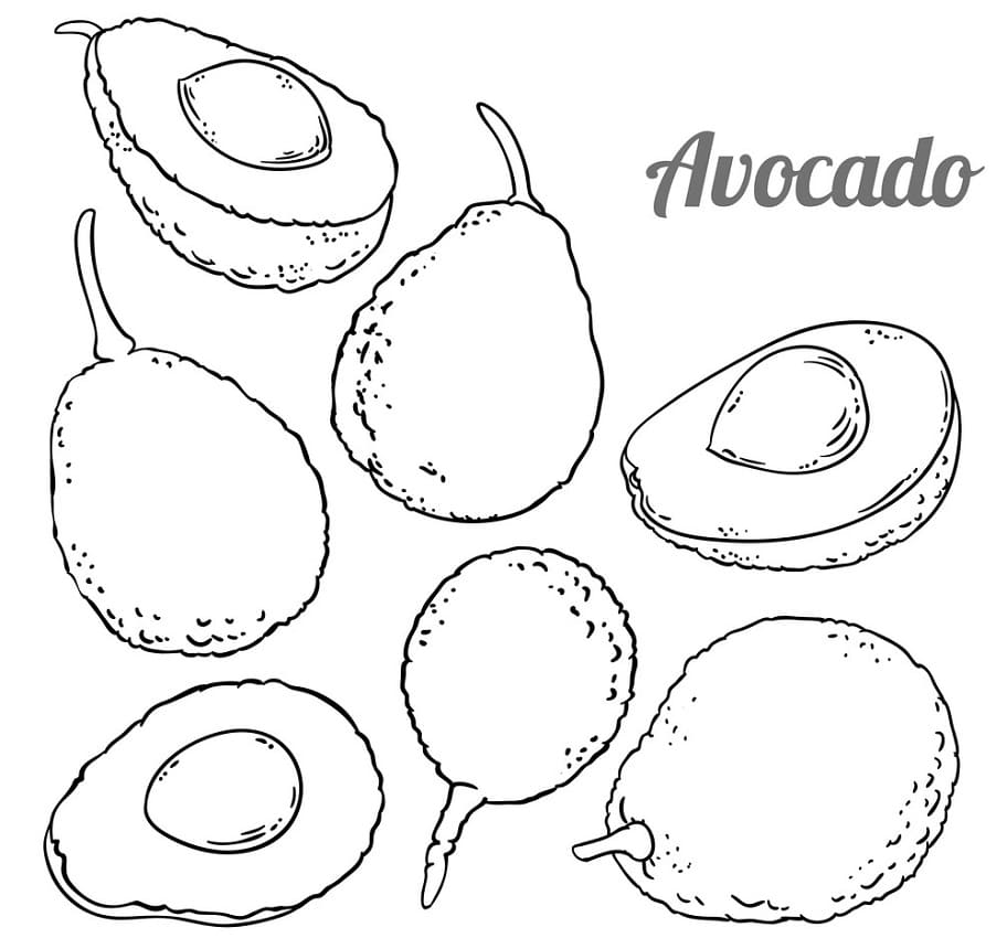 Druckbares Avocado Bild ausmalbilder
