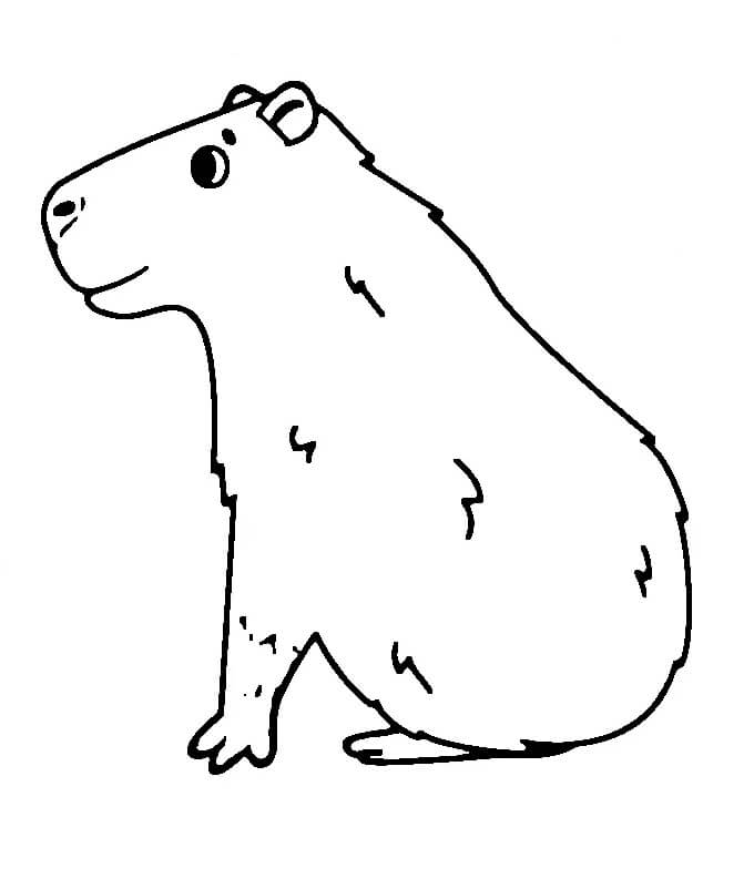 Druckbares Capybara Bild ausmalbilder