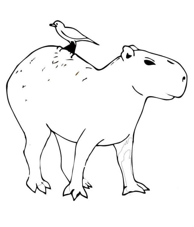 Druckbares Capybara ausmalbilder