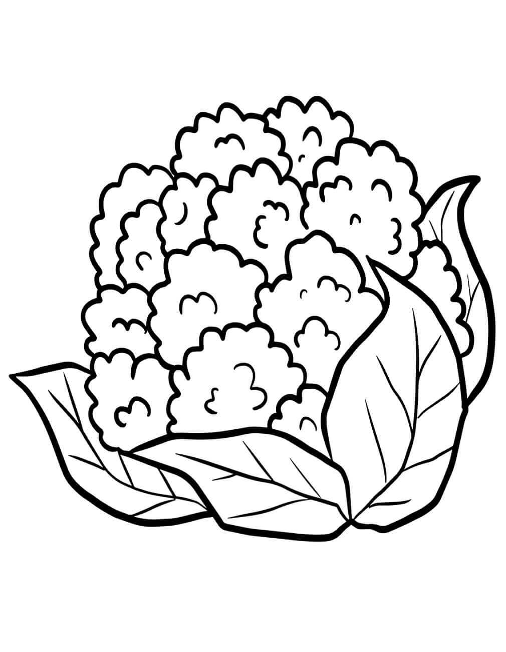 Druckbares Gemüse Bild ausmalbilder
