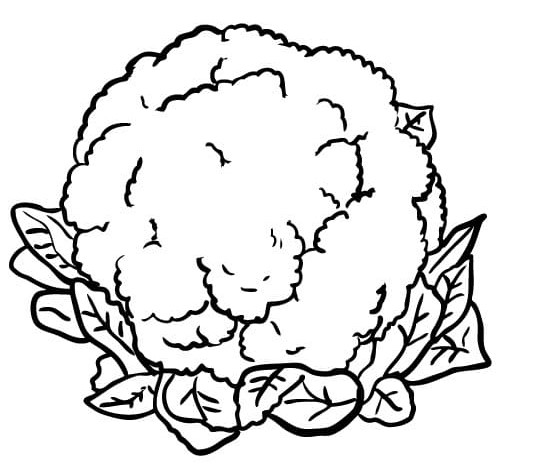 Druckbares Gratis Blumenkohl Exemplar ausmalbilder