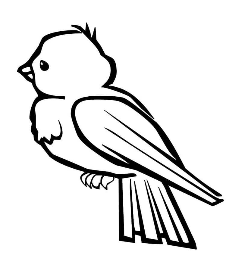 Druckbares Kostenloses Vogel ausmalbilder