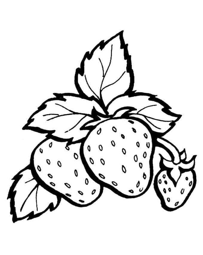 Druckfertige Erdbeere ausmalbilder