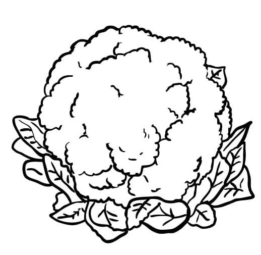 Druckfertige Kinder-Bildversion Blumenkohl ausmalbilder