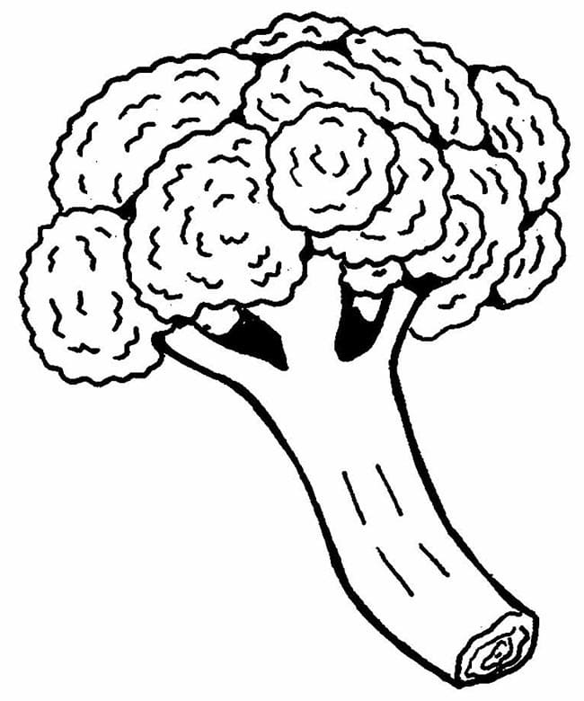 Druckfertige Kinder-Bildversion Brokkoli ausmalbilder