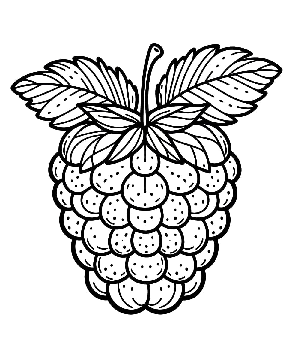 Druckfertige Kinder-Bildversion Himbeere ausmalbilder