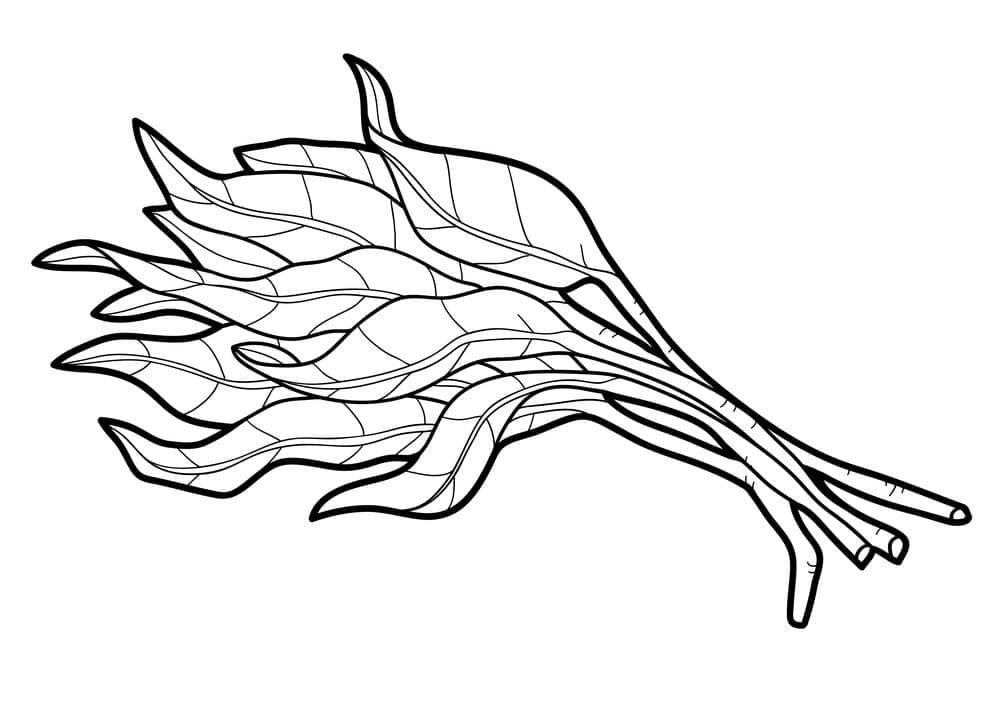 Druckfertiger Spinat ausmalbilder