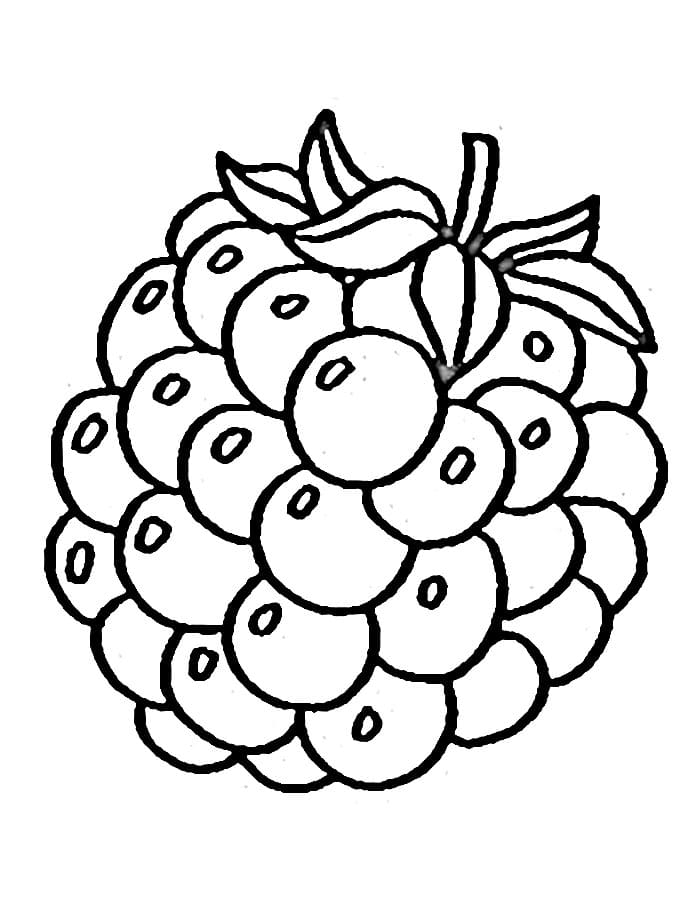 Druckfertiges Brombeere Bild ausmalbilder