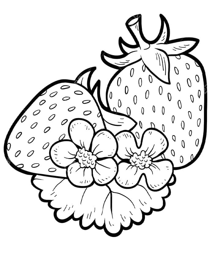 Druckfertiges Erdbeere Bild ausmalbilder