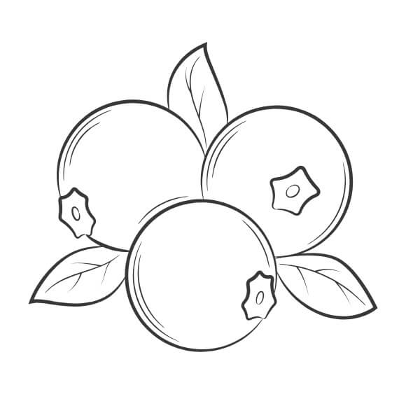 Druckfertiges Früchte Bild ausmalbilder