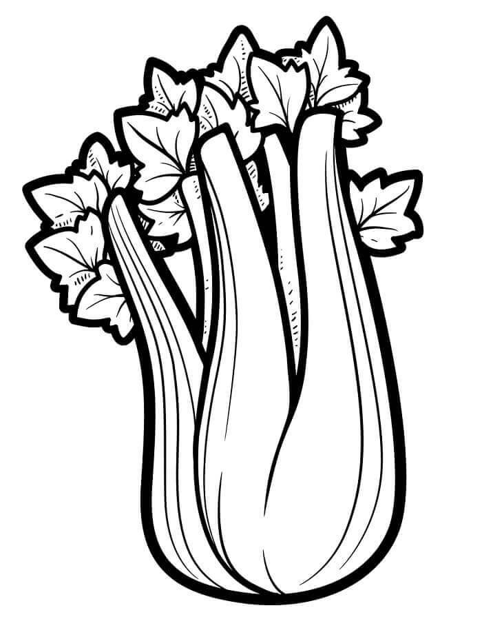 Druckfertiges Gemüse Bild ausmalbilder