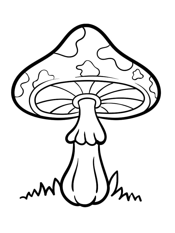 Ein Pilz ausmalbilder