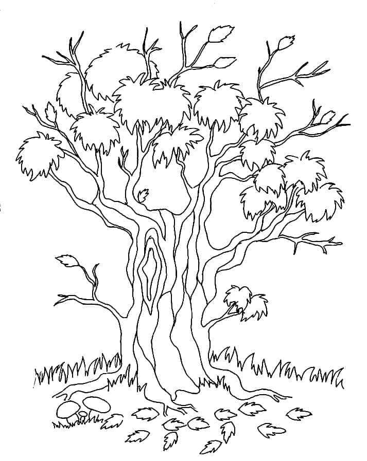 Ein schöner Baum ausmalbilder