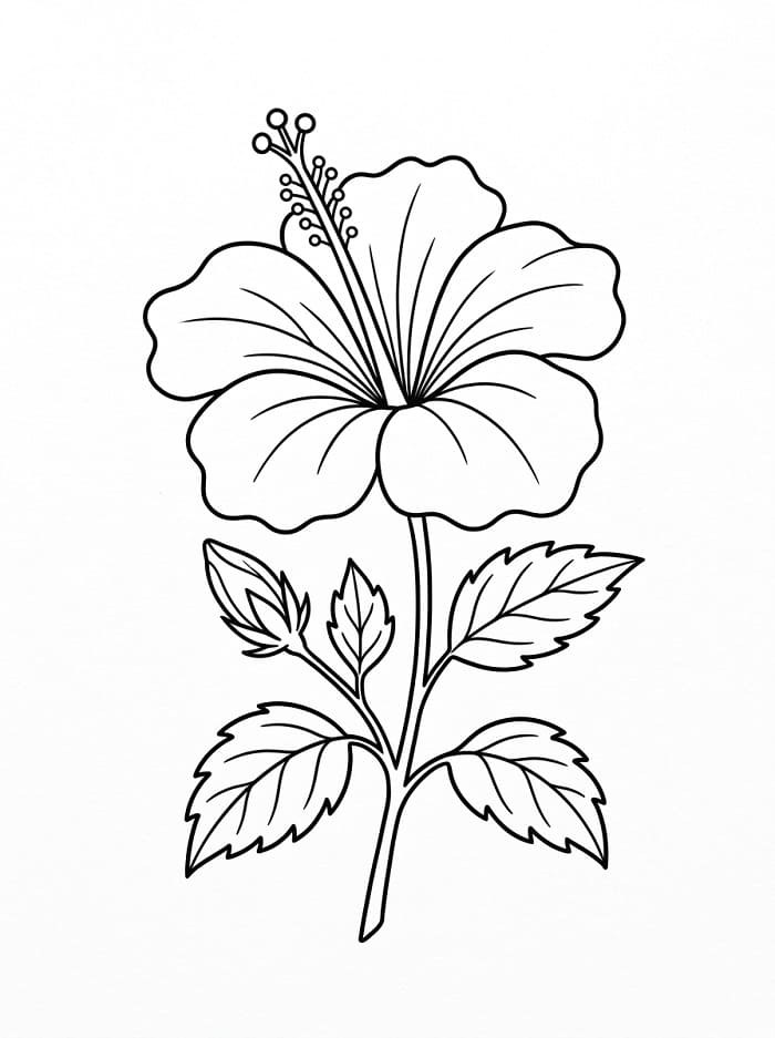 Ein schöner Hibiskus ausmalbilder