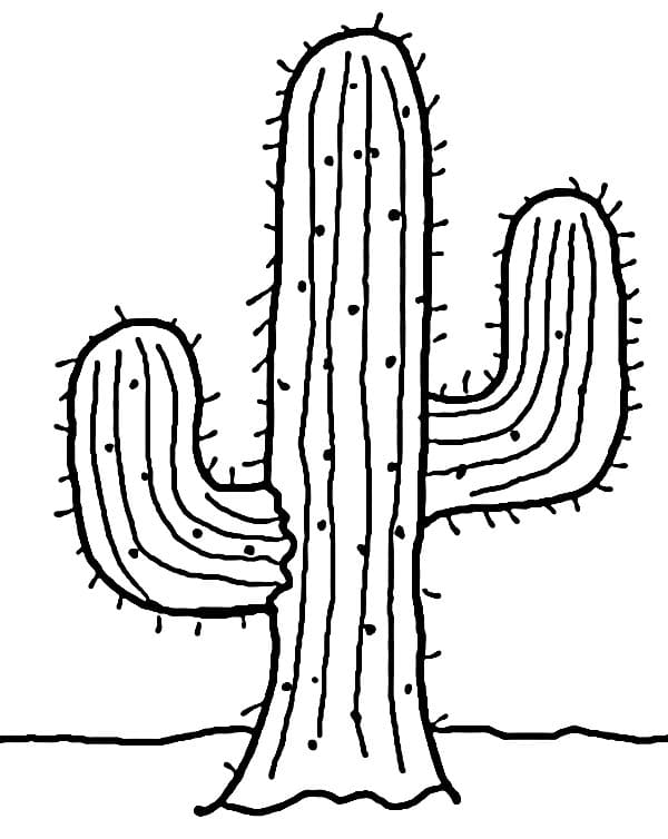 Ein schöner Kaktus ausmalbilder