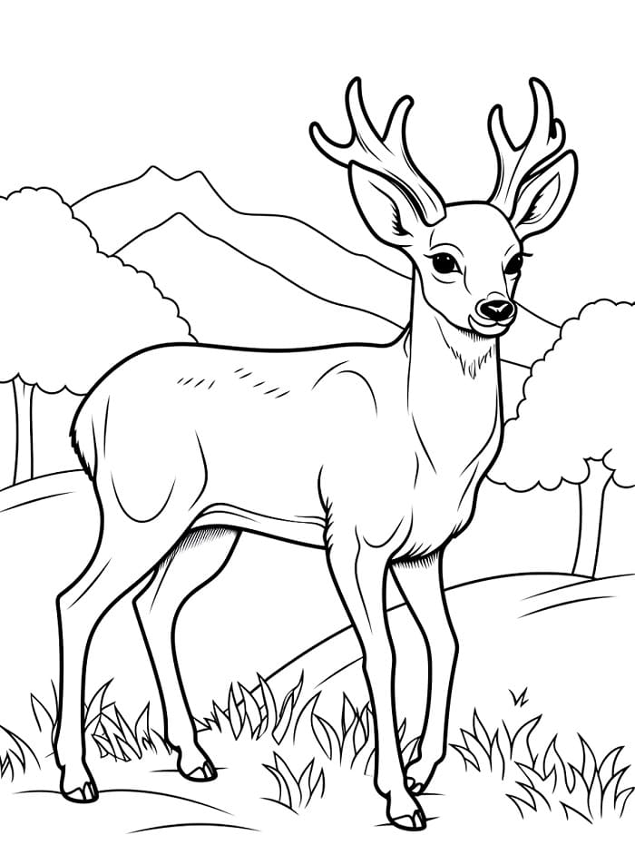 Ein süßer Hirsch ausmalbilder