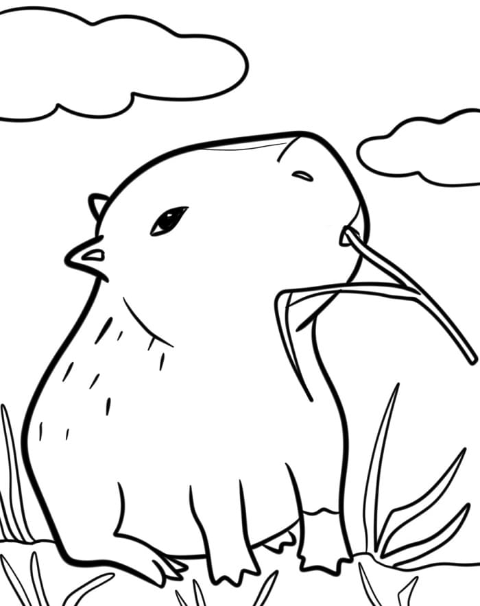 Ein süßes Capybara ausmalbilder