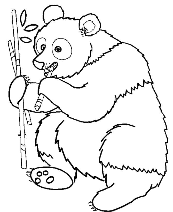 Ein wilder Panda ausmalbilder